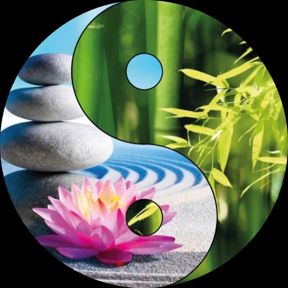 Shiatsu Yasmina Cobelli